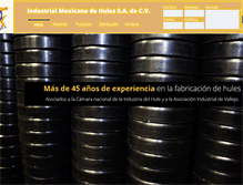 Tablet Screenshot of imh.com.mx